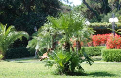 Marina di Bibbona Hotel | Park Hotel Marinetta - Beach & Spa