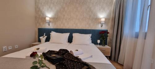Dolni Dabnik Hotel | Park Hotel Viasport