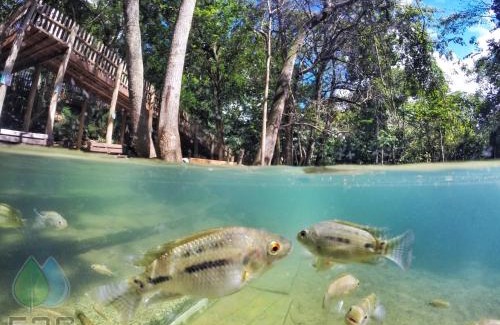 Pousada do Rio Quente Apartment | Park Veredas - Apto 526 - Flat Service