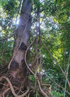 Pousada do Rio Quente Apartment | PARK VEREDAS FLAT 322