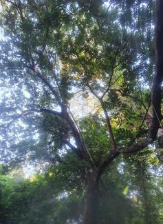 Pousada do Rio Quente Apartment | PARK VEREDAS FLAT 322