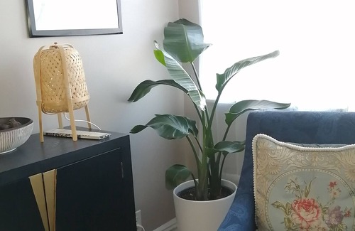 Bath Beach Apartment | Park View Lovely NYC Townhouse, 5 min from Seashore
