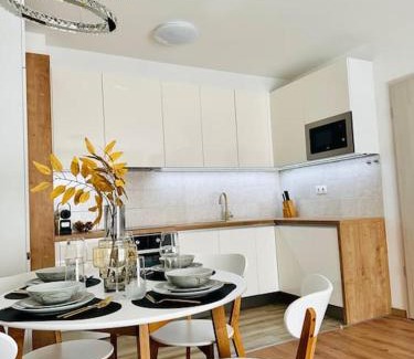 Ujlipotvaros Apartment | Park West Terrace with private parking