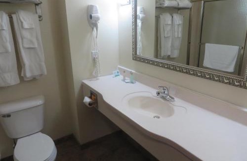 Bloomington Hotel | Parke Regency Hotel & Conf Ctr., BW Signature Collection