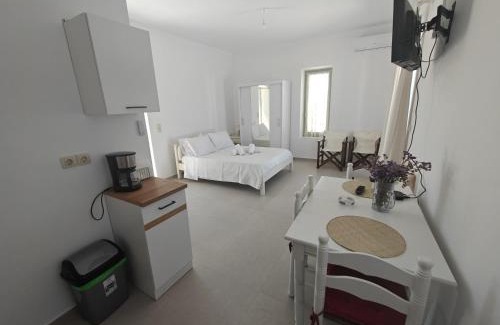Nea Cryssi Akti House | Paros Vista Residence