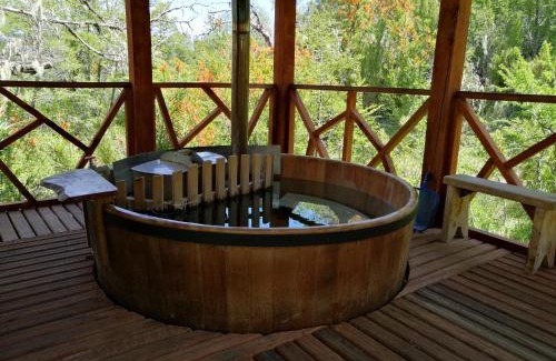 Malalcahuello Cabin | Parque Amavida