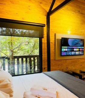 Urubici Cabin | Parque das Araucarias cabana 1