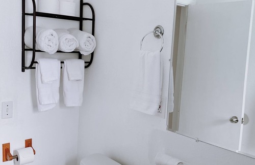 Alta Vista House | Parrot Paradise Sarasota +Low cleaning fee+ near Beach, Pinecraft, Airport.