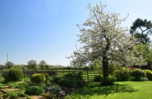 Eaton Mascott House | Parrs Meadow Cottage