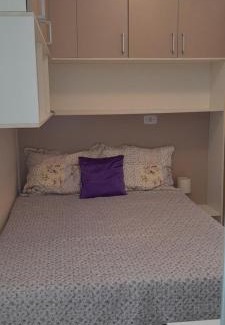 Centro House | Participe do Círio e COP 30