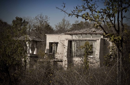 Panna Cabin | Pashan Garh, Panna National Park