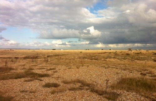 Dungeness Apartment | Pass the Keys Levante Coastal Cabin - Dungeness Sleeps 23