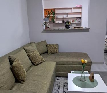 Paracin Apartment | Passage