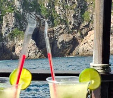 Taio Boat Rental | Passeios pelas praias mais cristalinas de Caribe brasileiro