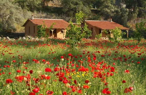 Yaniklar House | Pastoral Vadi