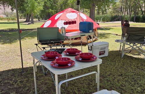 Caliente RV Rental | Pasture Bedtime: Sleep With the Sheep at Weber Ranch