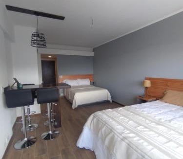 Centro Apartment | Patagonia Oeste