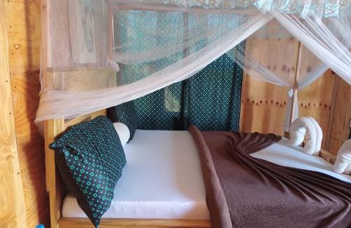 Arusha Bed & Breakfast | Patience Airport cottages