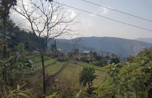 Changunarayan House | Patlekhet Community Homestay