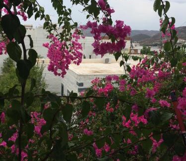 Grikos Apartment | Patmos Villas