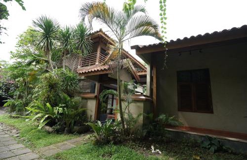 Mlati Villa | Patria Villa With Private Pool Near Hyatt