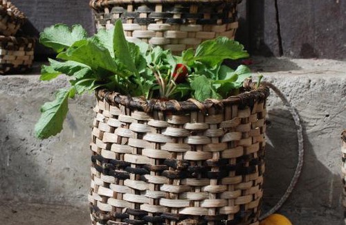 Sierra House | Patricia and Ned's cloud forest farm