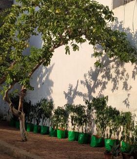 Darbhanga Villa | Peace in city, home of greenary Grand Journey Venue