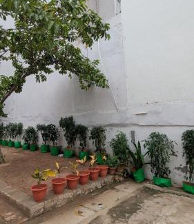 Darbhanga Villa | Peace in city, home of greenary Grand Journey Venue