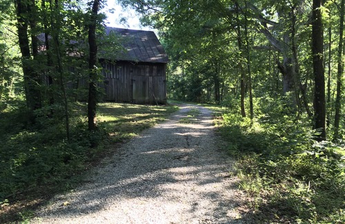 Perks Cabin | Peace, quiet and nature at your back door