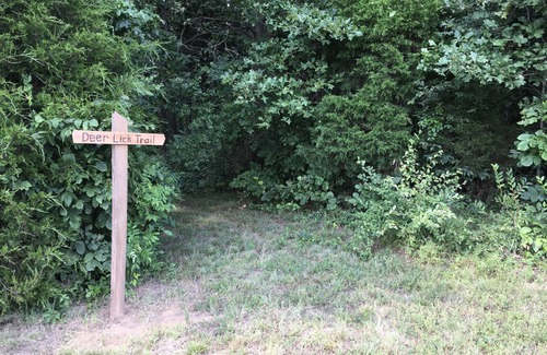 Perks Cabin | Peace, quiet and nature at your back door