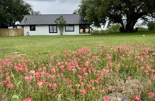 Von Ormy House | Peaceful 4-Bedroom Escape sitting on 30 acres