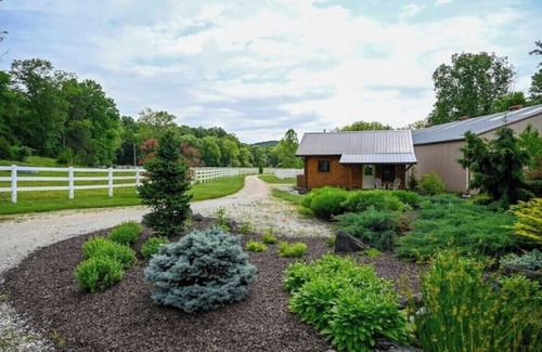 Pacific Cabin | Peaceful and cozy equestrian saturated retreat