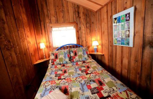 Clark House | Peaceful Cabin near Medicine Bow-Routt National Forest in Columbine, Colorado