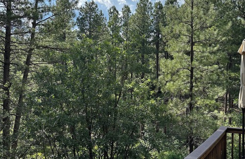 Munds Park Cabin | Peaceful Cabin on Munds Canyon with Open Forest from the Decks