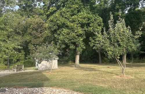 Fowler Cabin | Peaceful cabin with AC in charming Liberty