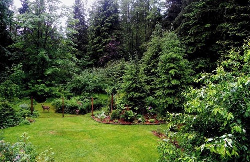 Courtenay Apartment | Peaceful, comfortable getaway - surrounded by gardens and forest.