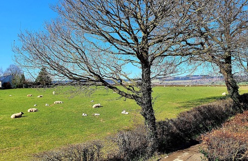 Leominster Cottage | Peaceful cottage nr Ludlow & Leominster, newly renovated, large garden & orchard