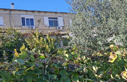 Mullet Apartment | Peaceful country apartment close to the city and the mountains.