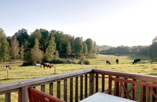 Valdemarsvik House | Peaceful country living with wifi and boat