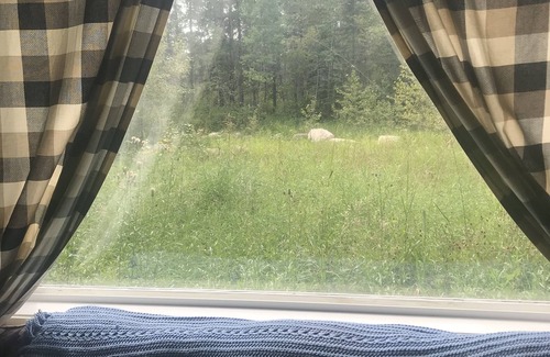 Nipawin House | Peaceful Country Living