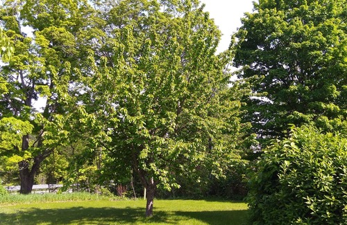 Northport House | Peaceful Country Vacation Home-Available Weekly
