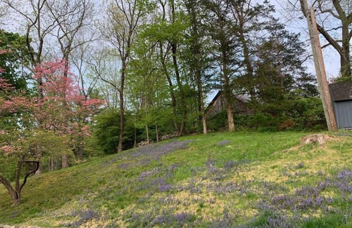 Weston House | Peaceful farmhouse style with pool and 2 acres of garden