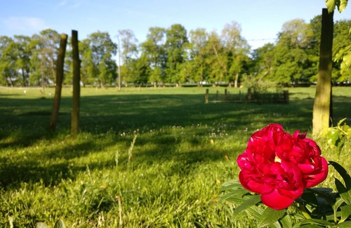 Ocqueville House | Peaceful farmhouse - Typical Normandy farm (clos-masure) near the sea