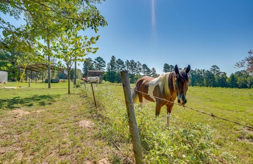 Claiborne Parish House | Peaceful Haynesville Vacation Rental with Yard!