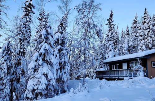 Fairbanks Cottage | Peaceful Hillside Refuge to Enjoy Aurora