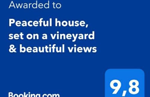 Valsequillo de Gran Canaria House | Peaceful house set on a vineyard & work friendly