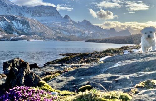 Gildeskal Ski Chalet | Peaceful Island Retreat in Seaside Cottage with Hidden Beach & Private Boat