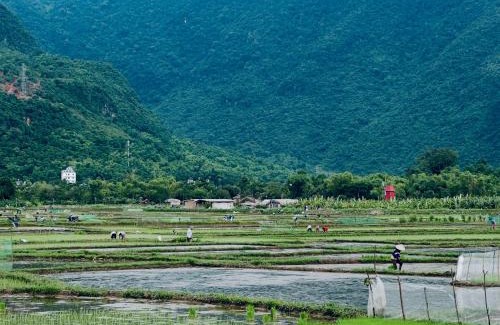 Mai Chau Bed & Breakfast | Peaceful MaiChau Homestay
