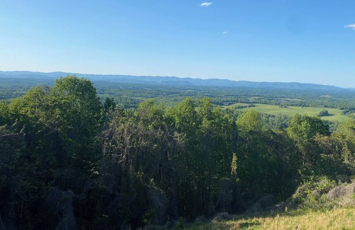 Arlington Condo | Peaceful mountain condo only 10 minutes to Wilkesboro Motor Speedway.