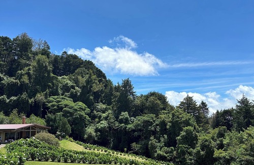 Poasito House | Peaceful Mountain Experience - Coyote House